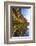 Details and Reflection of the Cliffside, San Diego, Ca-Andrew Shoemaker-Framed Photographic Print