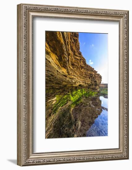 Details and Reflection of the Cliffside, San Diego, Ca-Andrew Shoemaker-Framed Photographic Print