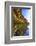 Details and Reflection of the Cliffside, San Diego, Ca-Andrew Shoemaker-Framed Photographic Print