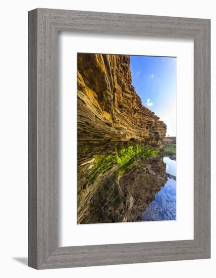 Details and Reflection of the Cliffside, San Diego, Ca-Andrew Shoemaker-Framed Photographic Print