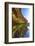 Details and Reflection of the Cliffside, San Diego, Ca-Andrew Shoemaker-Framed Photographic Print