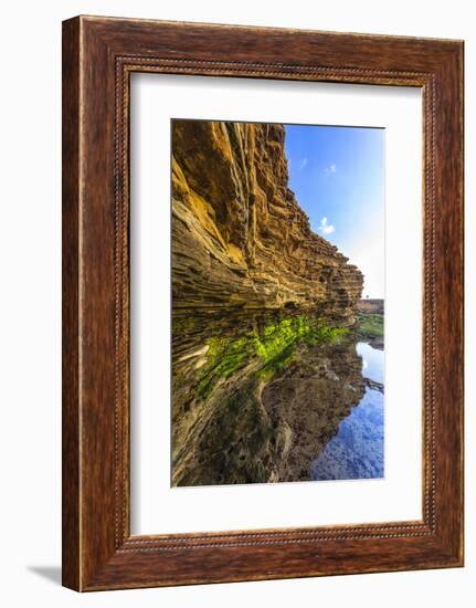 Details and Reflection of the Cliffside, San Diego, Ca-Andrew Shoemaker-Framed Photographic Print