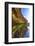 Details and Reflection of the Cliffside, San Diego, Ca-Andrew Shoemaker-Framed Photographic Print