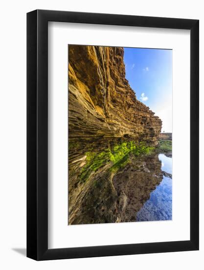 Details and Reflection of the Cliffside, San Diego, Ca-Andrew Shoemaker-Framed Photographic Print