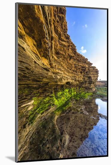 Details and Reflection of the Cliffside, San Diego, Ca-Andrew Shoemaker-Mounted Photographic Print