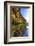 Details and Reflection of the Cliffside, San Diego, Ca-Andrew Shoemaker-Framed Photographic Print