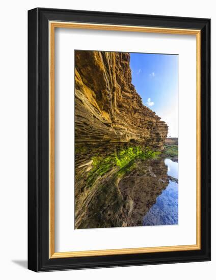 Details and Reflection of the Cliffside, San Diego, Ca-Andrew Shoemaker-Framed Photographic Print