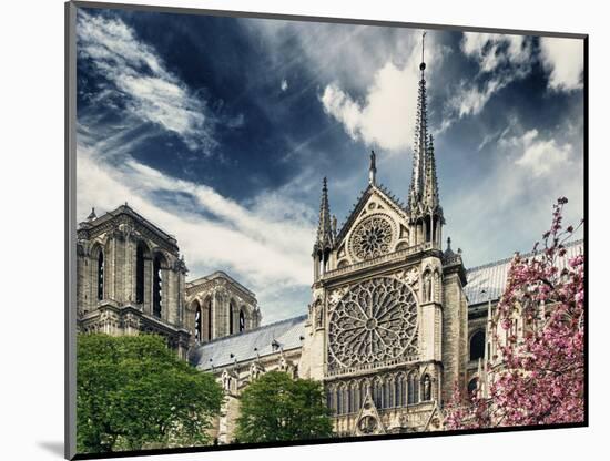 Details of Notre Dame - Paris - France-Philippe Hugonnard-Mounted Photographic Print