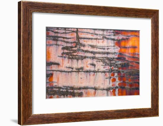 Details of rust and paint on metal.-Zandria Muench Beraldo-Framed Premium Photographic Print