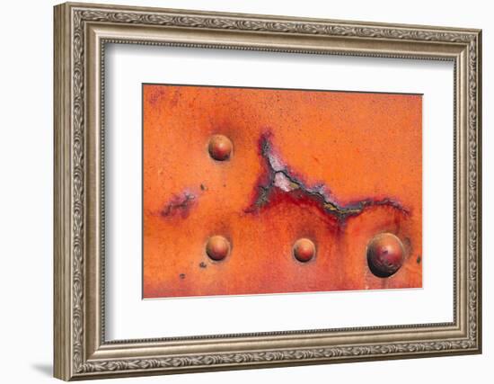 Details of rust and paint on metal.-Zandria Muench Beraldo-Framed Photographic Print