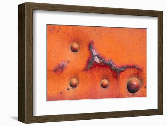 Details of rust and paint on metal.-Zandria Muench Beraldo-Framed Photographic Print