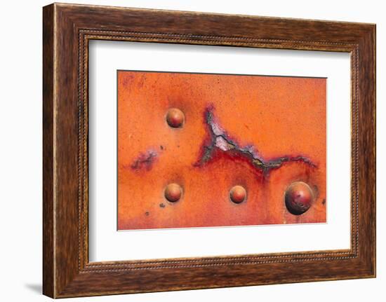 Details of rust and paint on metal.-Zandria Muench Beraldo-Framed Photographic Print