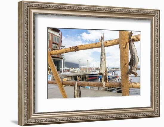 Details of the wooden rack with dried stockfish at the harbor of Svolvaer, Vagan, Lofoten Islands, -Roberto Moiola-Framed Photographic Print