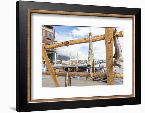 Details of the wooden rack with dried stockfish at the harbor of Svolvaer, Vagan, Lofoten Islands, -Roberto Moiola-Framed Photographic Print