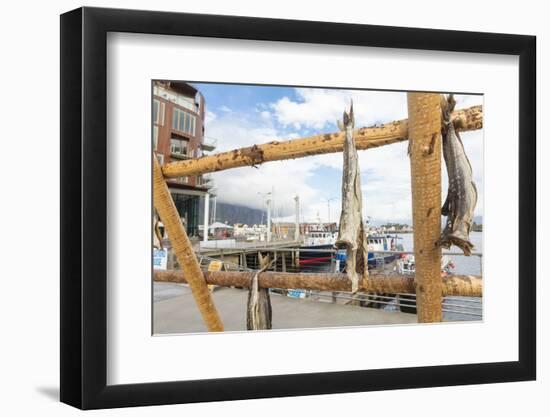 Details of the wooden rack with dried stockfish at the harbor of Svolvaer, Vagan, Lofoten Islands, -Roberto Moiola-Framed Photographic Print