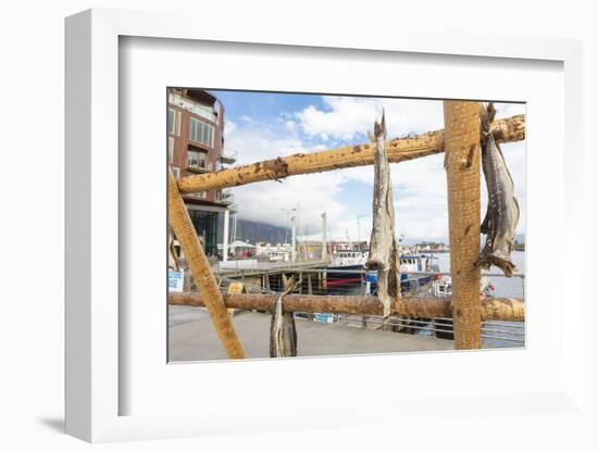 Details of the wooden rack with dried stockfish at the harbor of Svolvaer, Vagan, Lofoten Islands, -Roberto Moiola-Framed Photographic Print