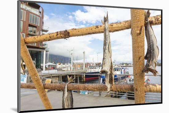 Details of the wooden rack with dried stockfish at the harbor of Svolvaer, Vagan, Lofoten Islands, -Roberto Moiola-Mounted Photographic Print