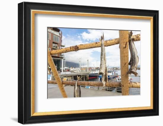 Details of the wooden rack with dried stockfish at the harbor of Svolvaer, Vagan, Lofoten Islands, -Roberto Moiola-Framed Photographic Print