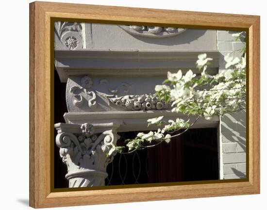 Details of Victorian Houses in Historic district, Louisville, Kentucky, USA-Michele Molinari-Framed Premier Image Canvas