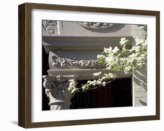 Details of Victorian Houses in Historic district, Louisville, Kentucky, USA-Michele Molinari-Framed Photographic Print