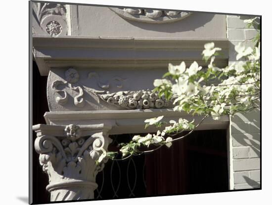 Details of Victorian Houses in Historic district, Louisville, Kentucky, USA-Michele Molinari-Mounted Photographic Print