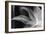 Detalle Flor X-Moises Levy-Framed Photographic Print