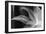 Detalle Flor X-Moises Levy-Framed Photographic Print