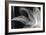 Detalle Flor X-Moises Levy-Framed Photographic Print