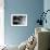 Detalle Flor X-Moises Levy-Framed Photographic Print displayed on a wall