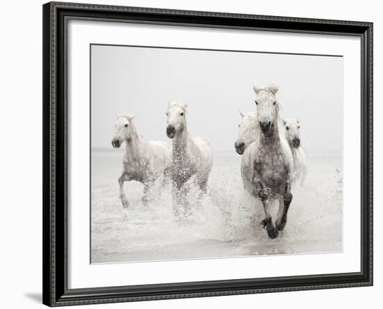 Determination-Irene Suchocki-Framed Giclee Print