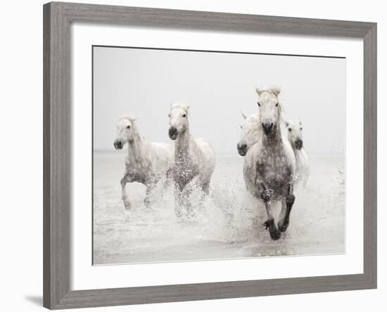 Determination-Irene Suchocki-Framed Giclee Print