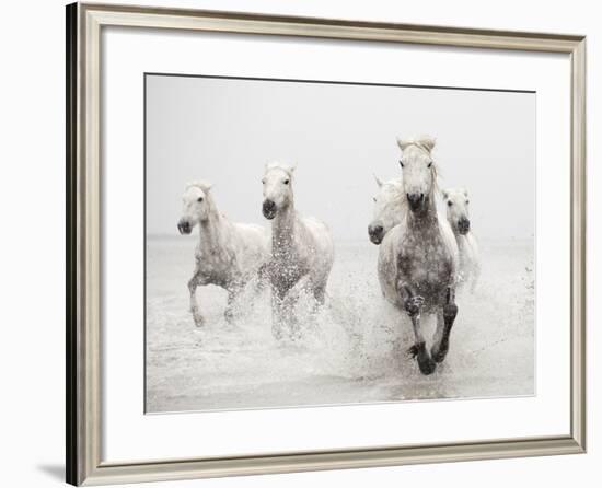 Determination-Irene Suchocki-Framed Giclee Print