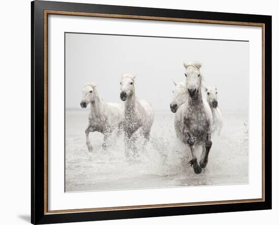 Determination-Irene Suchocki-Framed Giclee Print