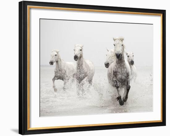 Determination-Irene Suchocki-Framed Giclee Print