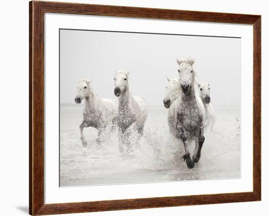 Determination-Irene Suchocki-Framed Giclee Print