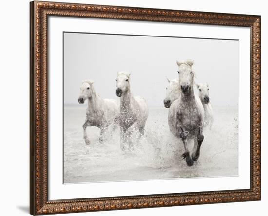 Determination-Irene Suchocki-Framed Giclee Print