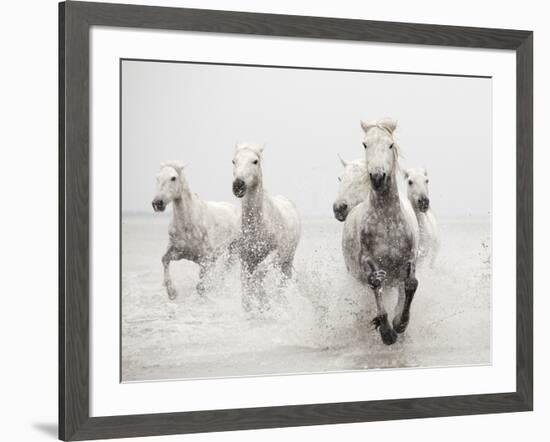 Determination-Irene Suchocki-Framed Giclee Print