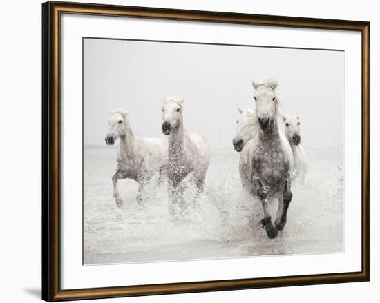 Determination-Irene Suchocki-Framed Giclee Print