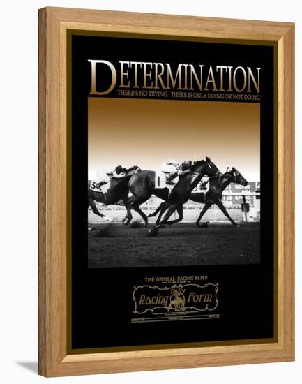 Determination-null-Framed Stretched Canvas