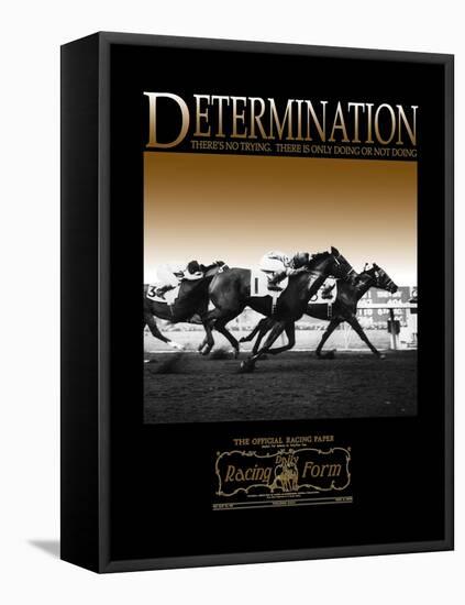 Determination-null-Framed Stretched Canvas