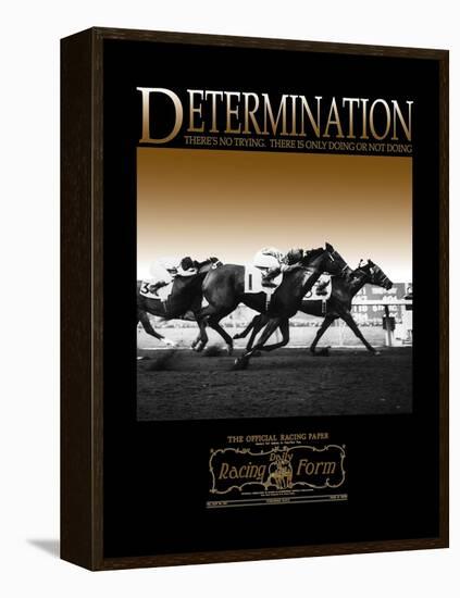 Determination-null-Framed Stretched Canvas