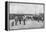 Detraining cattle, LNWR depot, York Road, London, c1903 (1903)-Unknown-Framed Premier Image Canvas