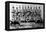 Detroit, MI, Detroit Tigers, Team Photograph, Baseball Card-Lantern Press-Framed Stretched Canvas