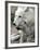 DEU BB Zoo Wolf-Fritz Reiss-Framed Photographic Print