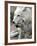 DEU BB Zoo Wolf-Fritz Reiss-Framed Photographic Print