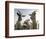 DEU BW Wetter Hirtenhund-Winfried Rothermel-Framed Photographic Print