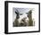 DEU BW Wetter Hirtenhund-Winfried Rothermel-Framed Photographic Print