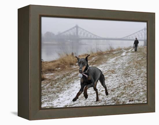 DEU SN Wetter-Matthias Rietschel-Framed Premier Image Canvas