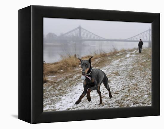 DEU SN Wetter-Matthias Rietschel-Framed Premier Image Canvas