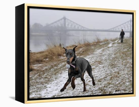 DEU SN Wetter-Matthias Rietschel-Framed Premier Image Canvas